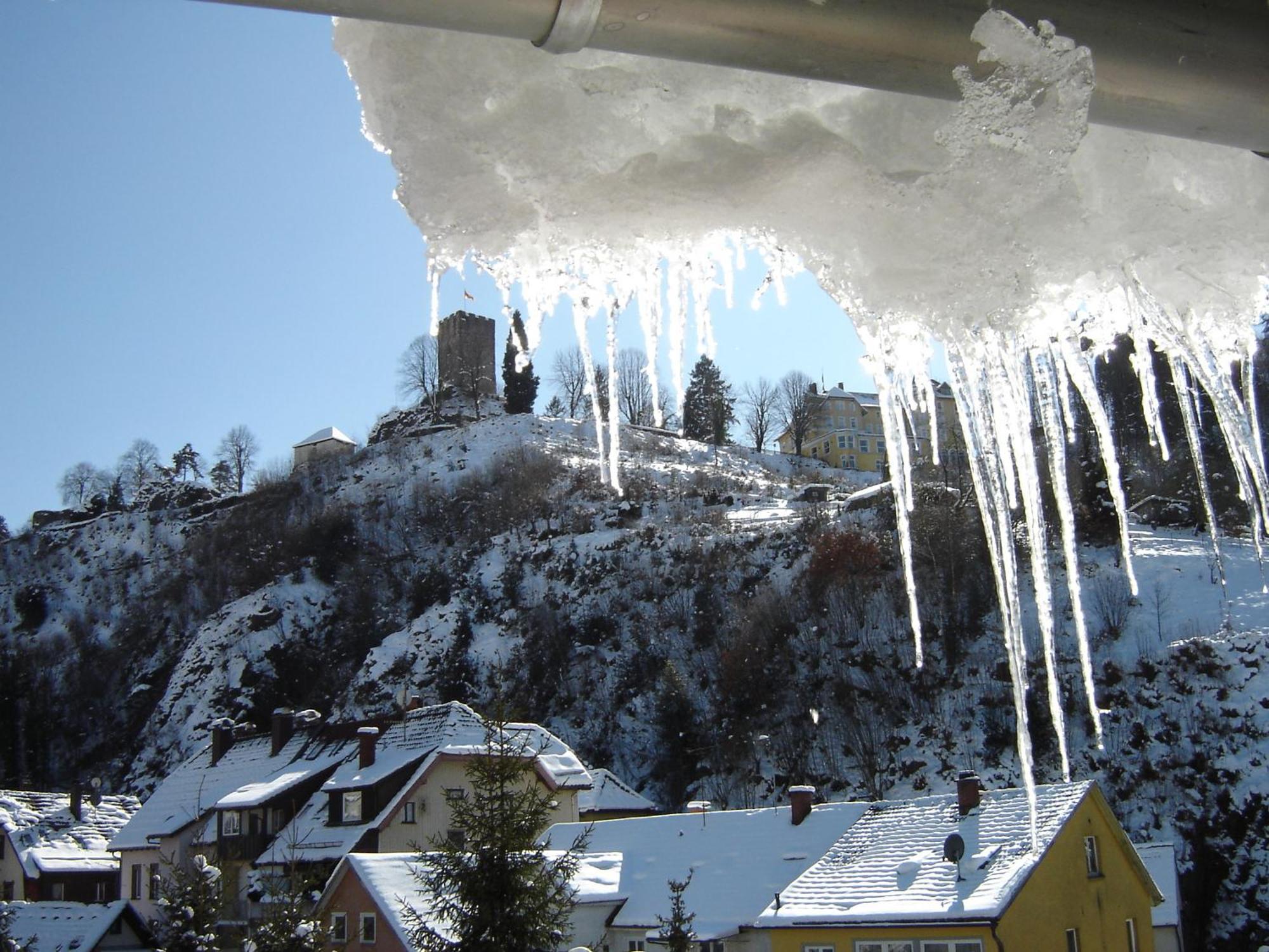 Gasthaus Schuetzen Hornberg Exterior foto